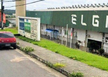 Vaga para Auxiliar de Importação em Manaus pela Elgin: Veja Como se Candidatar com Facilidade