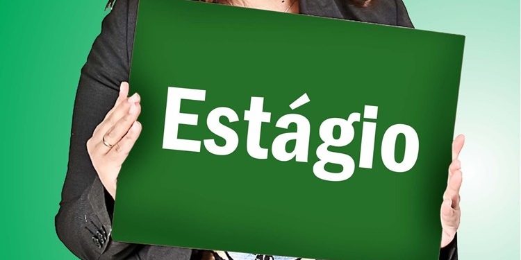 Vaga de Estágio para Pedagogia, Administração, RH e Áreas Afins no Instituto Prof. Denizard Rivail