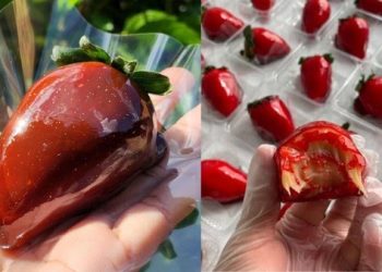 Oficina Gratuita “Morango do Amor” em Manaus Ensina Receita e Técnicas de Venda: Inscreva-se Já!