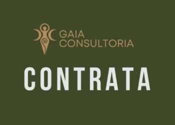 GAIA Consultoria oferece oportunidades de emprego e estágio em Manaus: veja as vagas, requisitos e como se candidatar
