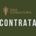 GAIA Consultoria oferece oportunidades de emprego e estágio em Manaus: veja as vagas, requisitos e como se candidatar