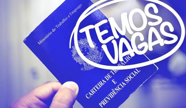 Orange Cargo abre vagas para Auxiliar Operacional e Motorista de Caminhão