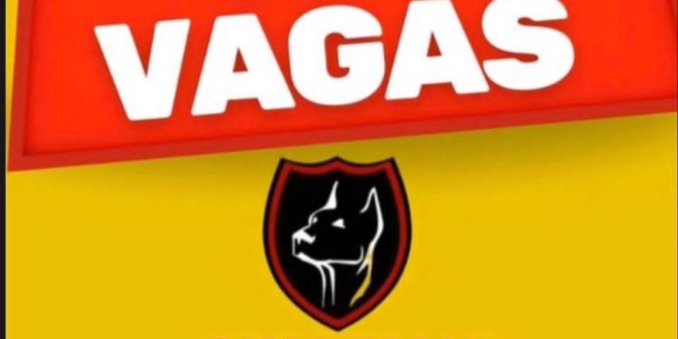 Agente de Portaria Masculino na Guardian Portaria e Serviços: Oportunidade para Quem Busca Estabilidade