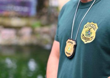 Amazonas começa 2026 com mais de 600 vagas em concursos e processos seletivos; veja como participar