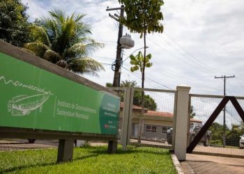 Instituto Mamirauá abre 5 vagas de emprego em Tefé com salários de até R$ 4 mil