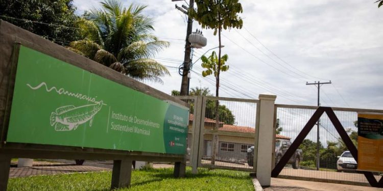 Instituto Mamirauá abre 5 vagas de emprego em Tefé com salários de até R$ 4 mil