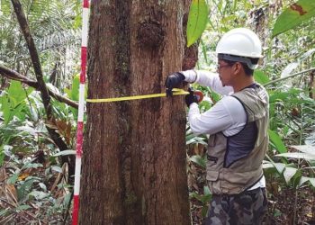 🌱 IFAM abre 60 vagas em cursos técnicos de Agropecuária e Florestas em Manaus