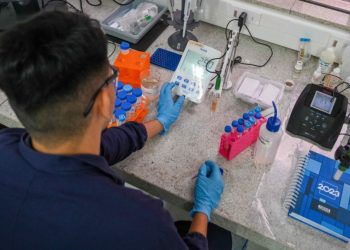 IEL Amazonas abre seleção com vagas de estágio em cinco áreas; bolsas podem chegar a R$ 1 mil