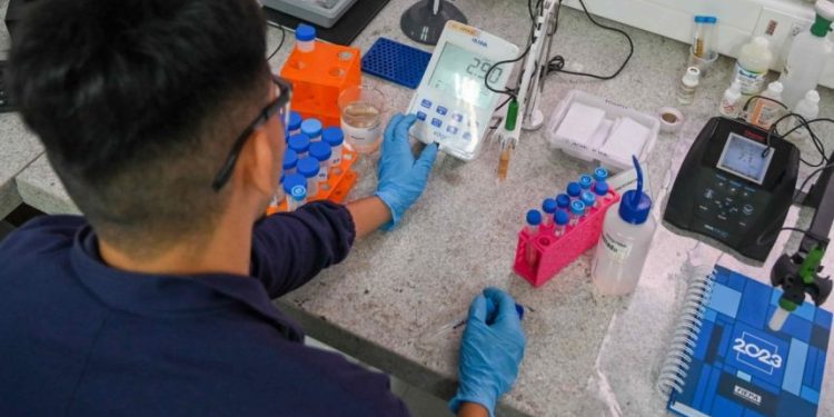 IEL Amazonas abre seleção com vagas de estágio em cinco áreas; bolsas podem chegar a R$ 1 mil