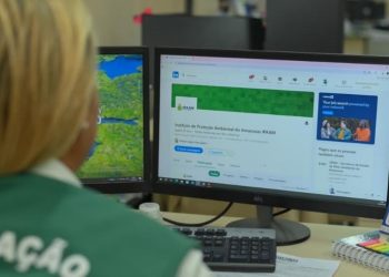 Ipaam abre seleção para 9 vagas de estágio em Manaus com bolsas de até R$ 860