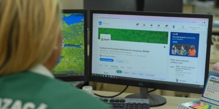 Ipaam abre seleção para 9 vagas de estágio em Manaus com bolsas de até R$ 860