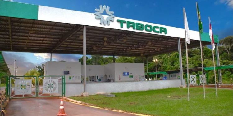 Mineração Taboca abre vagas de trainee no Amazonas: veja como participar e mudar sua vida